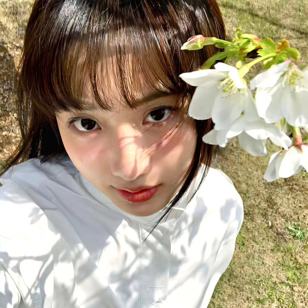 惊沙